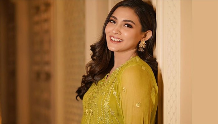 ১৮ ডিসেম্বর মেহজাবীনের জবাব দাখিলের নির্দেশ আদালতের