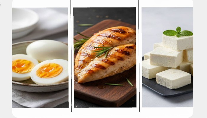 শরীরের জন্য প্রোটিন জরুরি, ডিম, মাংস, না পনির কোন খাবারের প্রোটিন শরীর জন্য বেশি ভাল?