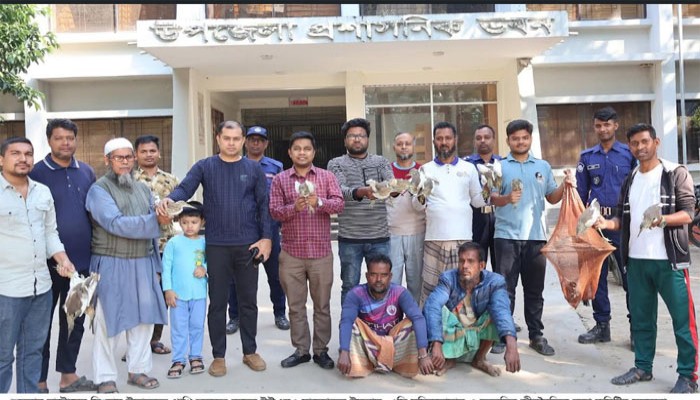 সিংড়ায় ১০৫টি বক অবমুক্ত ও দুই শিকারির কারাদন্ড