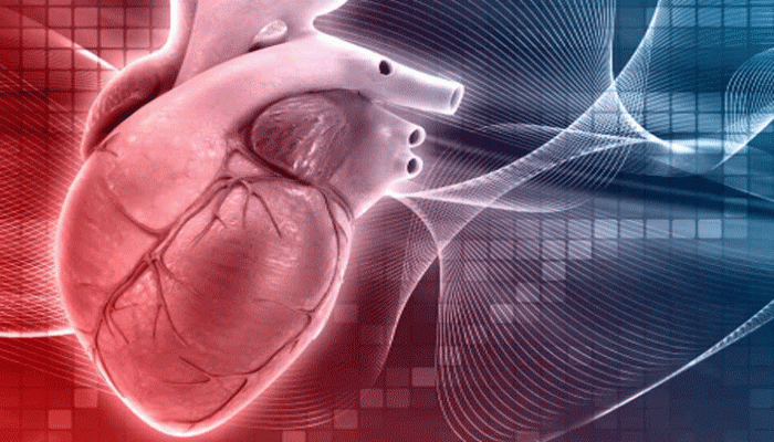 দ্রুত হারে বাড়ছে হার্টের বয়স, নেপথ্যে কোন ৫ কারণ