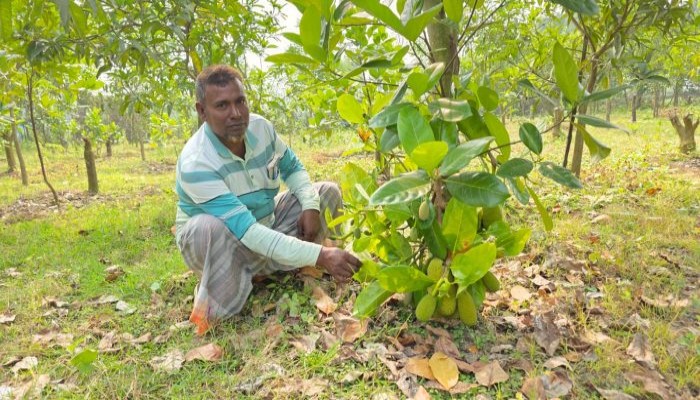 স্নাতকোত্তর পাশ করেও হয়েছেন কৃষক; এখন তিনি কোটিপতি