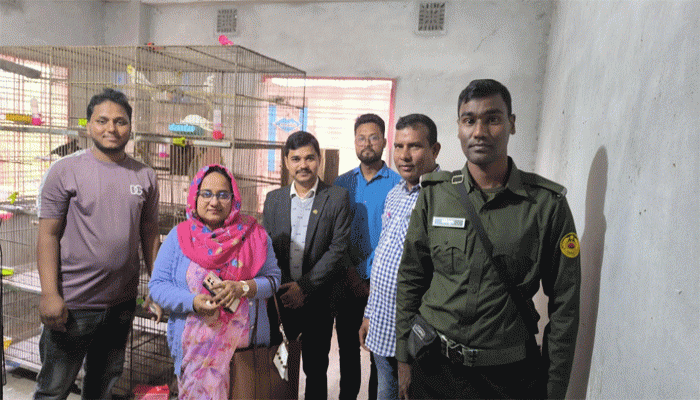 রাণীশংকৈলের মোশাররফ এখন বিদেশি পাখির সফল খামারি, দর্শনার্থীদের উপচে পড়া ভীড়