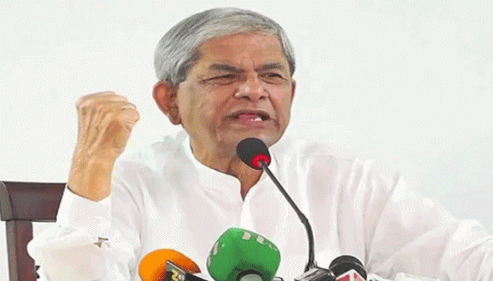 স্বাধীনতাবিরোধী শক্তি মাথাচাড়া দিয়ে ওঠার চেষ্টা করছে: মির্জা ফখরুল