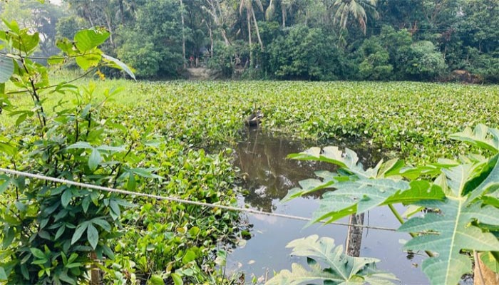প্রেমিকের সঙ্গে রাতে দেখা করতে এসে ধাওয়া খেয়ে পুকুরে