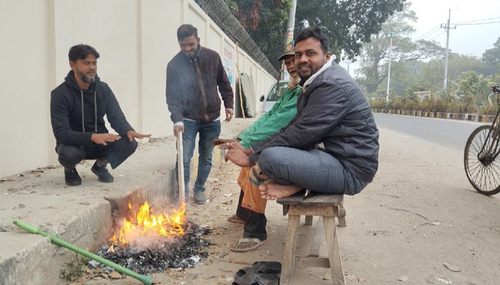 নওগাঁ জেলায় শীতের তীব্রতা, বীজতলা ক্ষতির আশঙ্কা