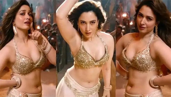 মাত্র ছ’মিনিটের নাচে ৬ কোটি টাকা দেশের দামী স্টেজ পারফর্মারদের শীর্ষে তামান্না ভাটিয়া