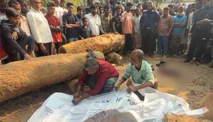 রায়পুরায় ‘শীর্ষ সন্ত্রাসী’ অপুকে কুপিয়ে হত্যা
