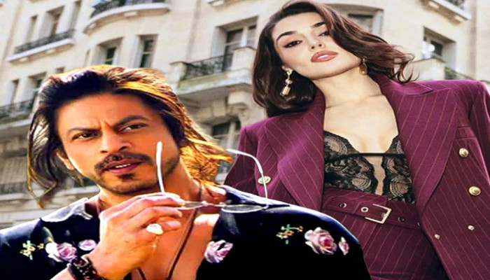 শাহরুখকে ‘কাকু’ বলার জেরে তুর্কি অভিনেত্রী হান্ডে আজেলের সমালোচনা