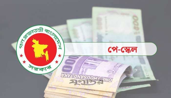 পে স্কেলের দাবি আদায়ে নতুন সংগঠনের নাম ঘোষণা