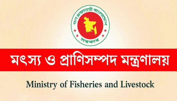 ইলিশ চাষের বিষয়ে যে সিদ্ধান্ত নিলো সরকার