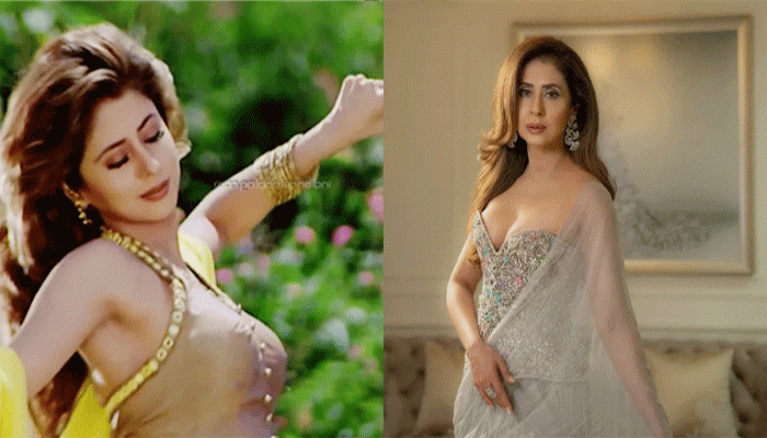 অভিনয় থেকে রাজনীতি, লোকসভা ভোটে লড়াই!