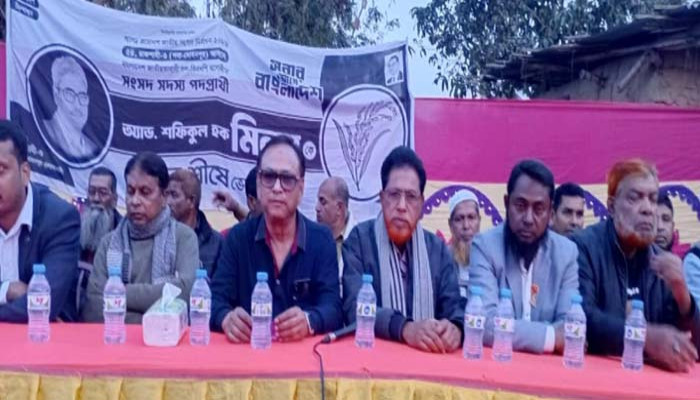 কৃষ্ণপুরে ধানের শীষ বিজয় করার লক্ষ্যে উঠান বৈঠক