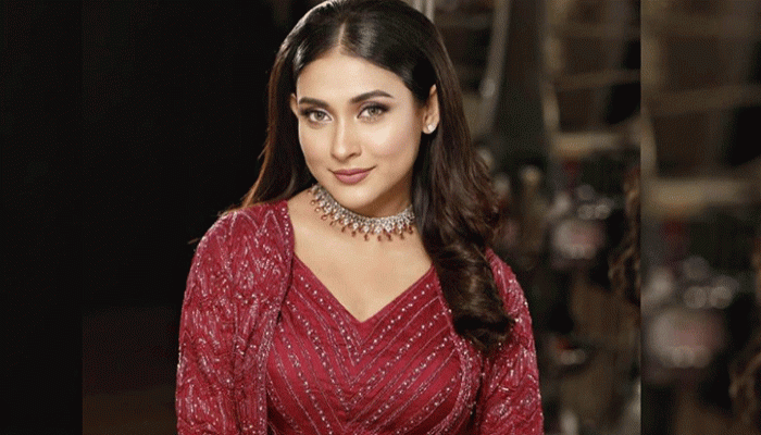 লাগেজে মদের বোতলের খবর অস্বীকার করে যা বললেন মেহজাবীন চৌধুরী