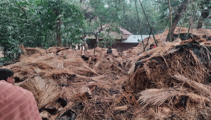 নিয়ামতপুরে দুর্বৃত্তদের 'প্রতিহিংসার' আগুনে পুড়ে ছাই কৃষকের খড়ের গাদা