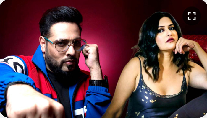‘পৌরুষের গর্বে ছাতি চওড়া হচ্ছে, আর নারীদের নিয়ে কুইঙ্গিত’, বাদশাকে এ বার তোপ সোনা মহাপাত্রের
