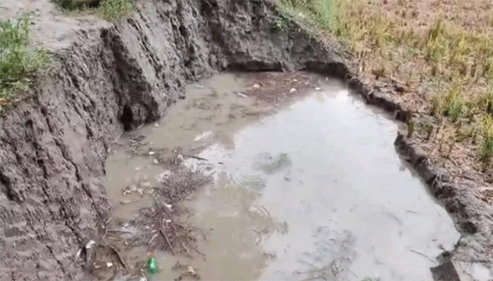 নোয়াখালীতে খেলা করতে গিয়ে প্রাণ গেল চার শিশুর