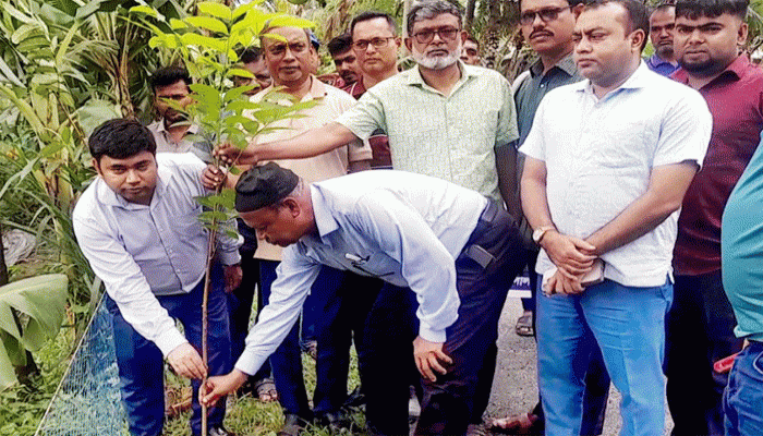 লালপুরে এলজিইডির বৃক্ষরোপন কর্মসূচির উদ্বোধন