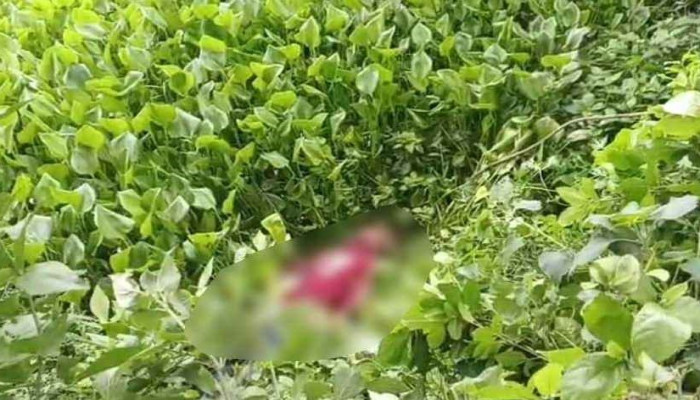 পাবনায় শ্বশুরবাড়ির পাশের ডোবায় মিলল যুবকের গলায় গামছা পেঁচানো মরদেহ