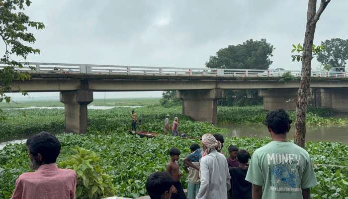 সিংড়ায় এমপি আনুর নির্দেশনায় হিয়ালা বিলের কচুরিপানা  অপসারণ কাজের উদ্বোধন
