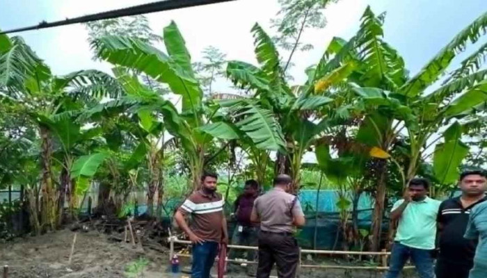 স্বামী-স্ত্রীর ঝগড়ায় হত্যার রহস্য ফাঁস