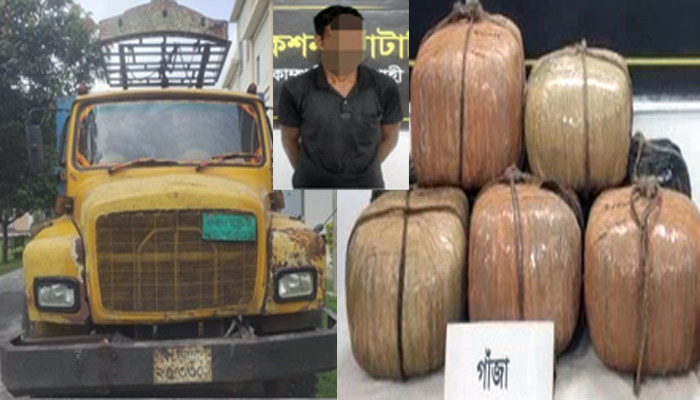 মোহনপুরে বিপুল পরিমান গাঁজাসহ গ্রেফতার ১, পলাতক ১