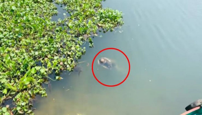 গোদাগাড়ীতে পুকুর থেকে যুবকের মরদেহ উদ্ধার