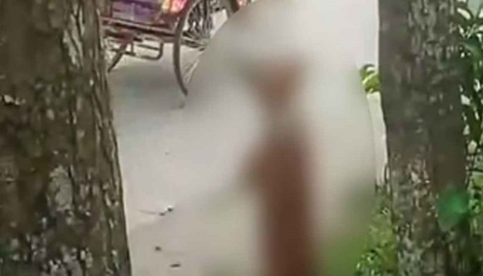 ছাগলকে কামড় দেওয়ায় গাছে ঝুলিয়ে কুকুর হত্যা, ভিডিও ভাইরাল