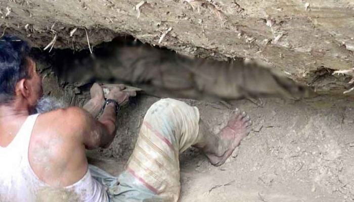 স্ত্রীর কবর খুঁড়তে মিলল ২৪ বছর আগে দাফন করা স্বামীর অক্ষত মরদেহ