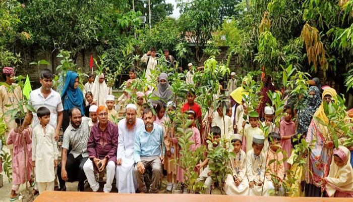 এবিএস ফাউন্ডেশনের উদ্যোগে সাদ নূরানী প্রি ক্যাডেট স্কুলে গাছের চারা বিতরণ