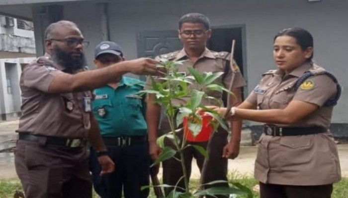 মহানগরীর বোয়ালিয়া মডেল থানায় বৃক্ষরোপণ কর্মসূচি, ওসি মাছুমা মুশতারী