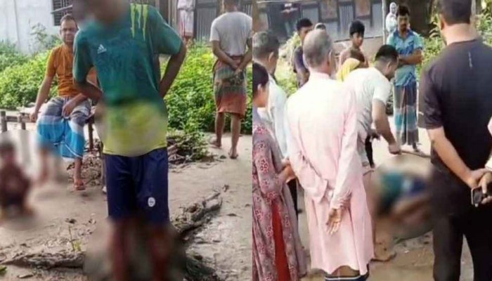 চাঁদপুরে মায়ের সামনে ছেলেকে গাছে বেঁধে মধ্যযুগীয় কায়দায় নির্যাতন