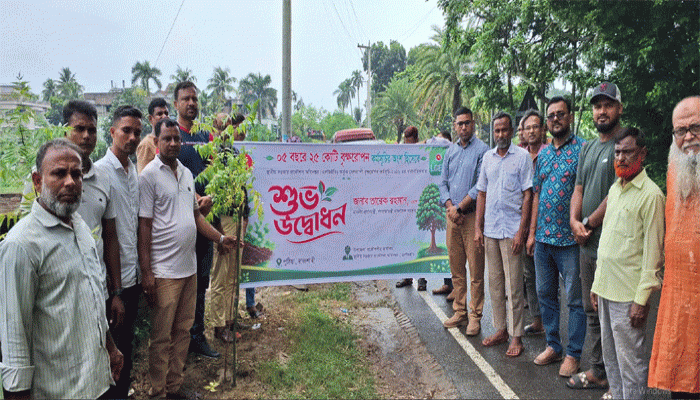 পুঠিয়ায় নন্দনগাছী সড়কে ৩০০ গাছের চারা রোপণ