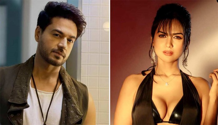গৌরবের সঙ্গে বিবাহবিচ্ছেদের কথা প্রচারের জন্য ছড়িয়ে দিয়েছেন? কী জানালেন আকাঙ্ক্ষা চমোলা?
