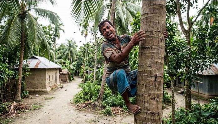 চুরি করতে গিয়ে ভিমরুলের কামড়, ‘জীবন বাঁচাতে’ বাড়ির মালিককেই ডাকলেন চোর