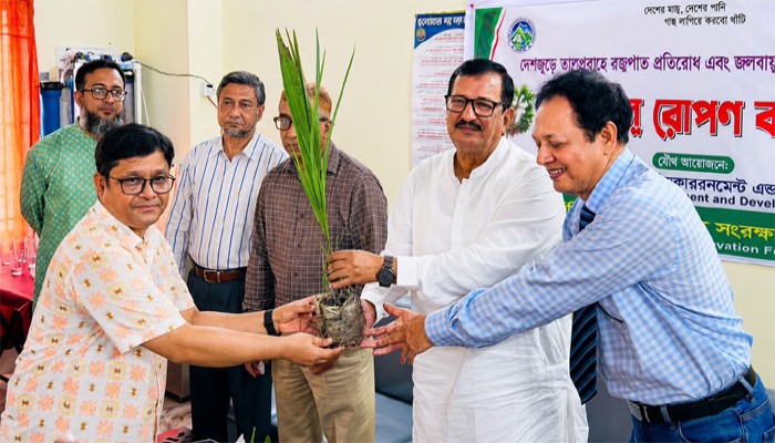 রাজশাহীতে বজ্রপাত প্রতিরোধ ও পরিবেশ সুরক্ষায় এক হাজার তালগাছের চারা রোপণ