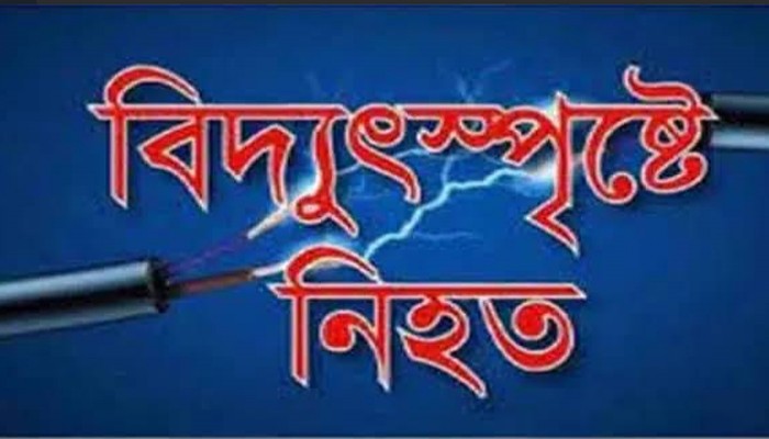 নিয়ামতপুরে বিদ্যুতায়িত হয়ে এসি মেকানিকের মৃত্যু