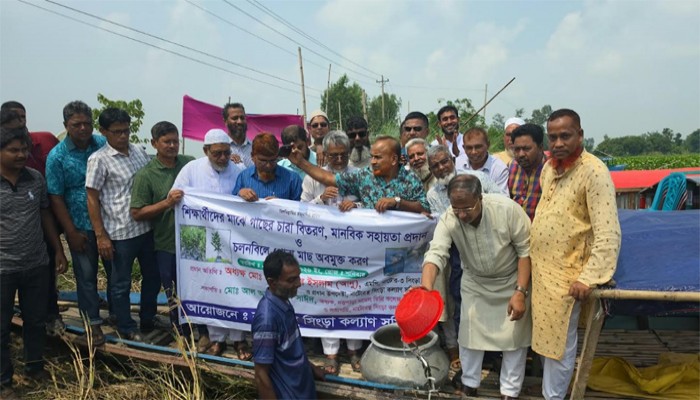 সিংড়ার চলনবিলে পোনা মাছ অবমুক্ত
