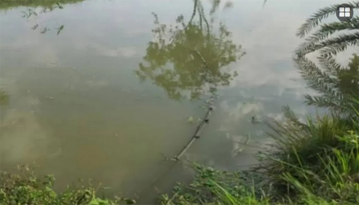 পানিতে ডুবে জমজ শিশুর মৃত্যু
