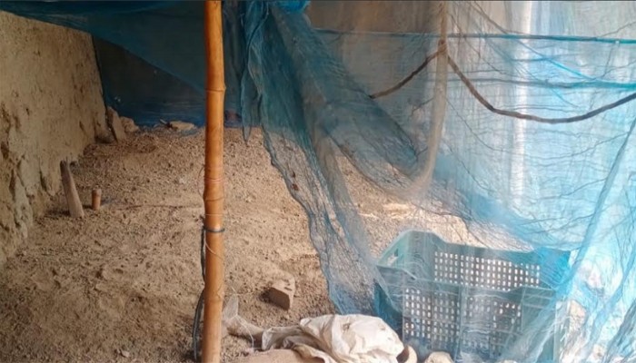 নিয়ামতপুরে খোঁয়াড় বন্দী হচ্ছে বিলুপ্তির 'খোঁয়াড়ে'