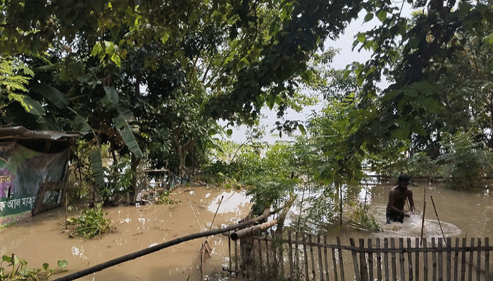 পদ্মার পানিতে ডুবেছে স্কুল, অনিশ্চয়তায় সাড়ে ৭০০ শিক্ষার্থী