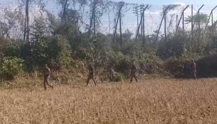 সীমান্তে লুকানো ছিল বিপুল ভারতীয় মোবাইল, ঘটনা কী