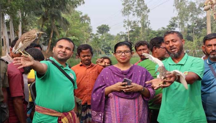 চলনবিলে ৫০ বক উদ্ধার, ৩ শিকারির জেল-জরিমানা