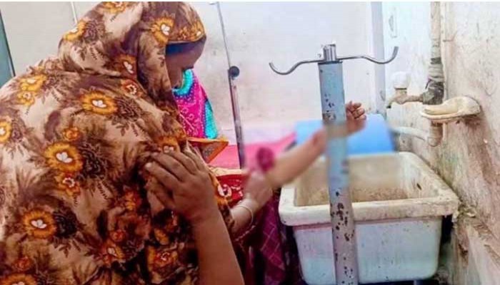 হিলিতে শিয়ালের কামড়ে নারী-শিশুসহ আহত ৮