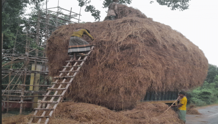 নিয়ামতপুরে বোরো ধানের 'ঝুরা' খড় বিক্রি করে লাভবান কৃষক