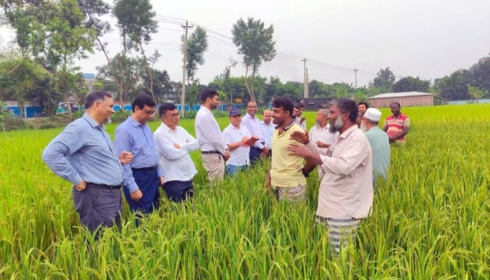 মোহনপুরে খামারি অ্যাপসের মাধ্যমে সার সুপারিশ কার্যক্রম পরিদর্শন